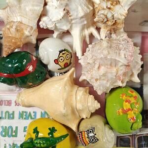 Hermit crab Shells solid 1.5 FANCY inch Assorted 10 Pack